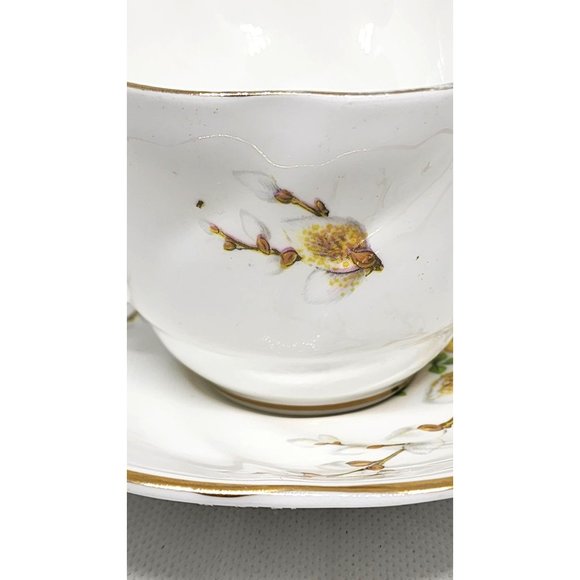 Royal Dover China Teacup & Saucer, Vibrant Floral Design, Gold Trim, Vintage - Picture 8 of 15